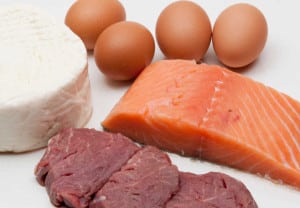 Some exemples of animal protein, eggs, cheese, fish, and