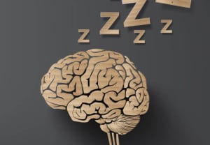vector of sleep concept with brain. info graphic cardboard design.