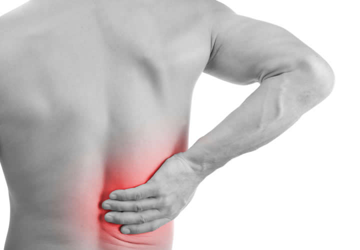 Fibromialgia WP