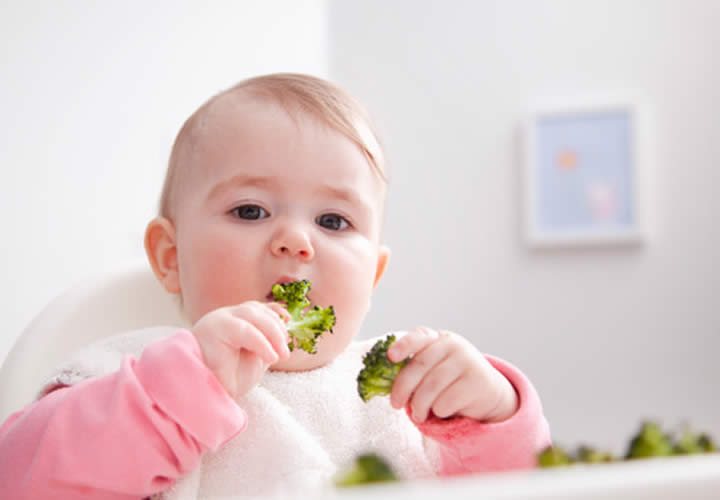 bbmundo Bebé Vegetariano WP