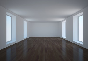 Vacíos Necesidades WP