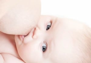 bbmundo Lactancia WP