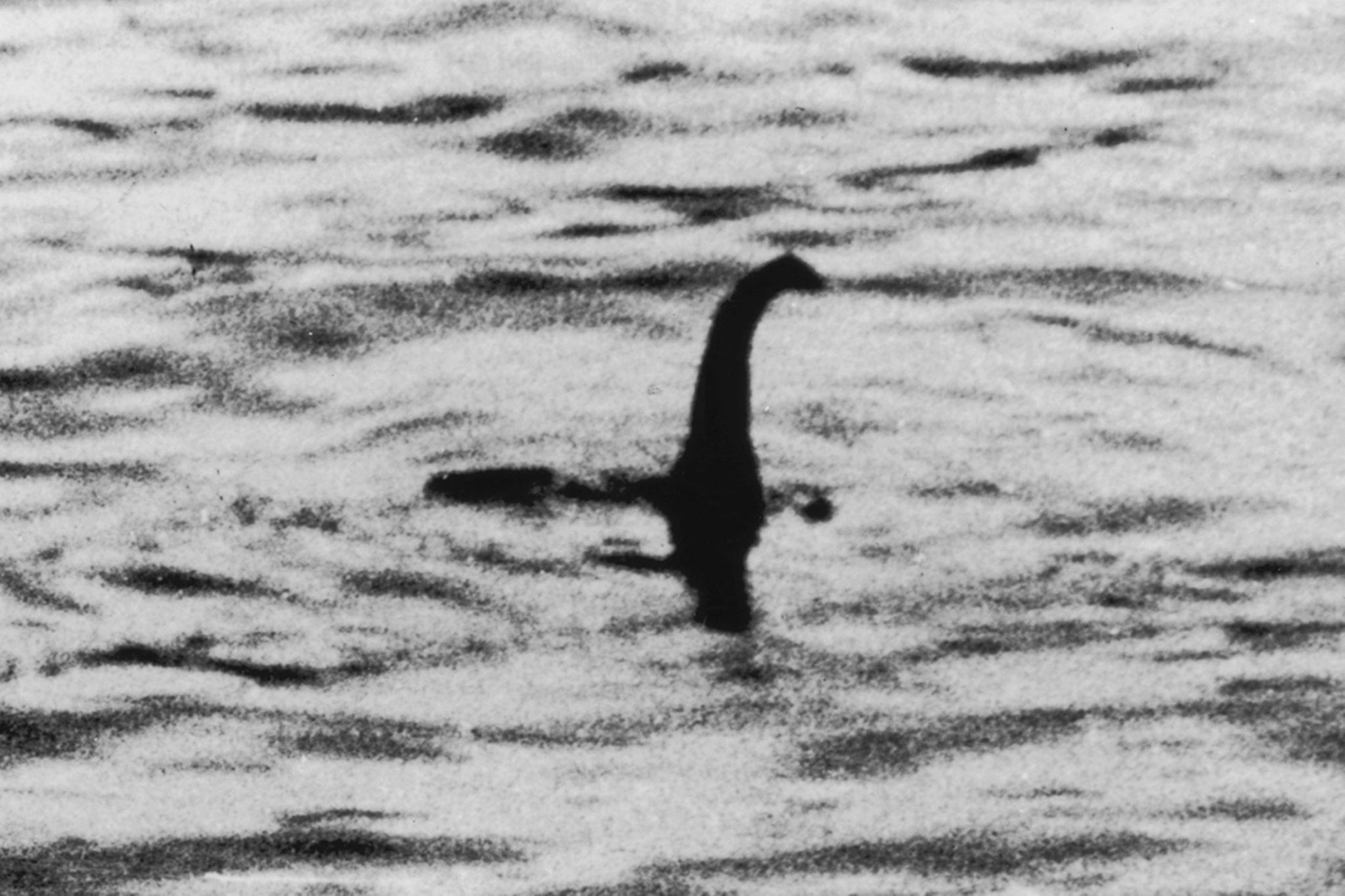 The-Loch-Ness-Monster