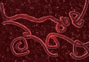 todo-sobre-el-ebola