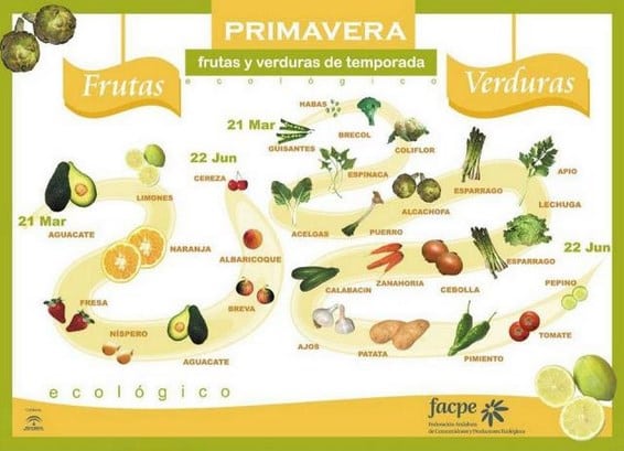 Imagen1