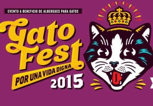 Gatofest