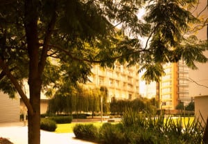 parques-polanco