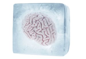 cerebro