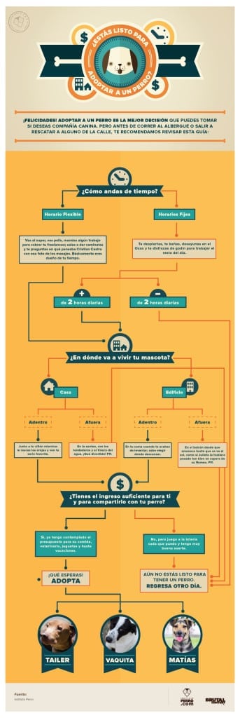 infografia-10