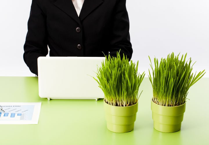 working in a friendly environment