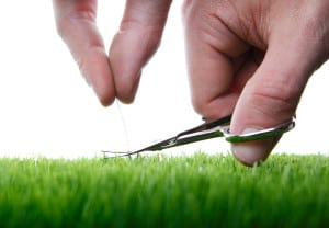 Young man cuts English lawn with a nail scissors