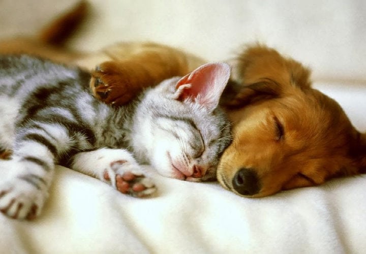 dormir