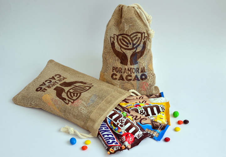 Cacao-en-Mexico