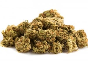 Lo-que-deben-saber-sobre-la-marihuana