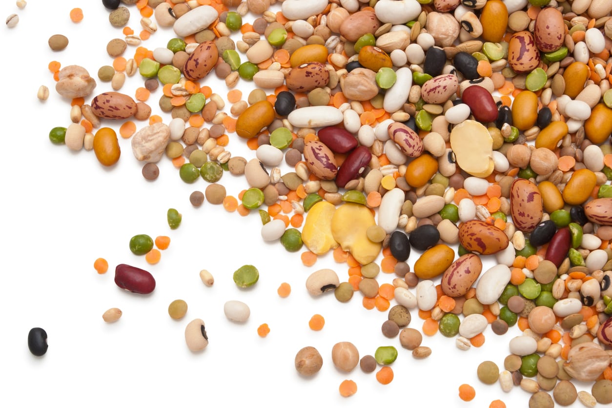  Son alimentos ricos en fibra que muchas veces son difíciles de digerir. 