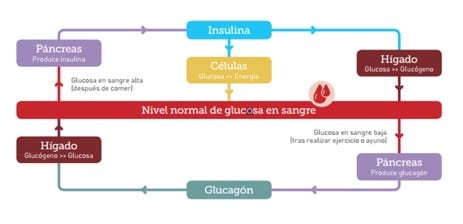 Diabetes 1
