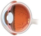 ojo4