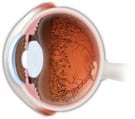 ojo5