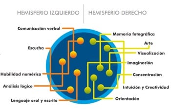 hemisferios