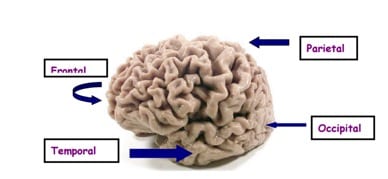 mental 2