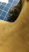 ch16