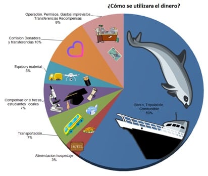 vaquita1