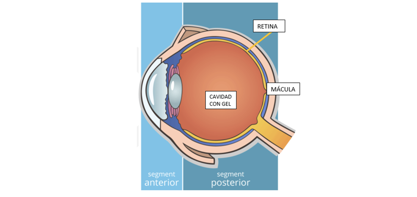 Enfermedades de la retina