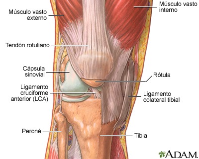 por qué nos duelen las articulaciones