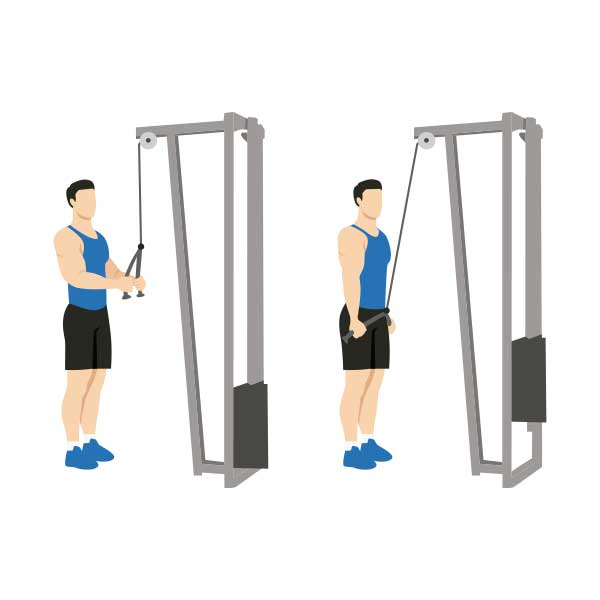 ejercicios para tener un cuerpo fuerte