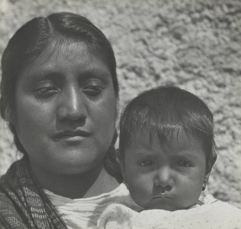 luz jimenes moma